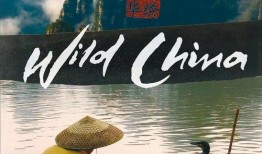 纪录片《中国》在线观看