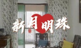 番禺楼盘爆料事件视频,揭露背后的真相与争议