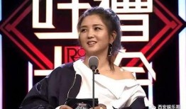 苏醒爆料何洁离婚原因视频,何洁离婚背后的惊人真相